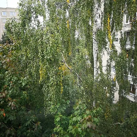 Modern Διαμέρισμα